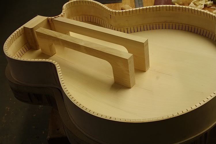 Semi vs Hollow Body Guitars Feedback Page 2